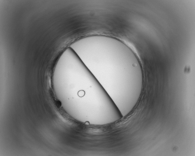 X0000102340061200808010922