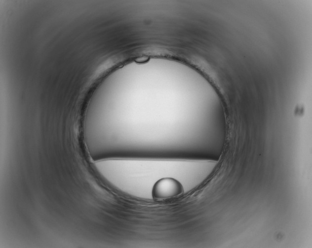 X0000102340063200808010922