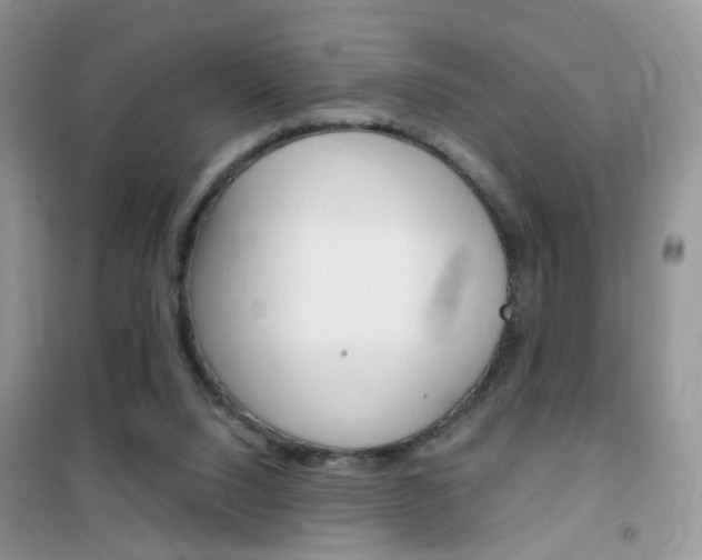 X0000102340064200808010922