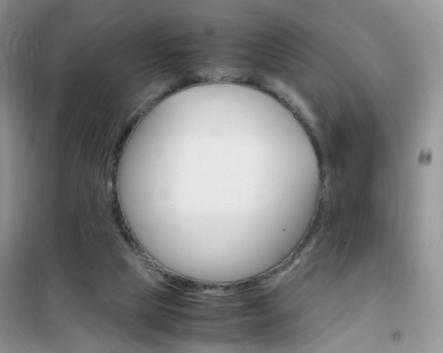 X0000102340065200808010922