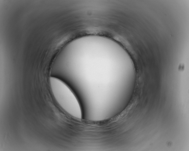 X0000102340066200808010922
