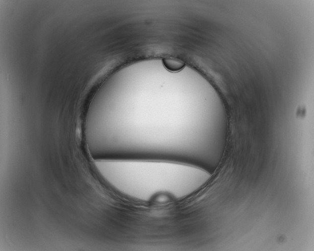 X0000102340067200808010922