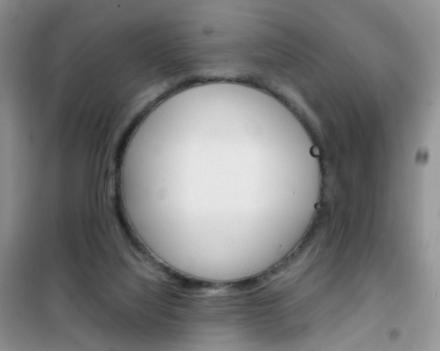X0000102340068200808010922