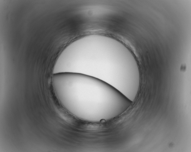 X0000102340069200808010922