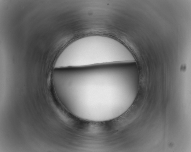 X0000102340070200808010922