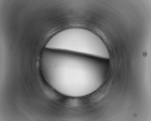 X0000102340071200808010922