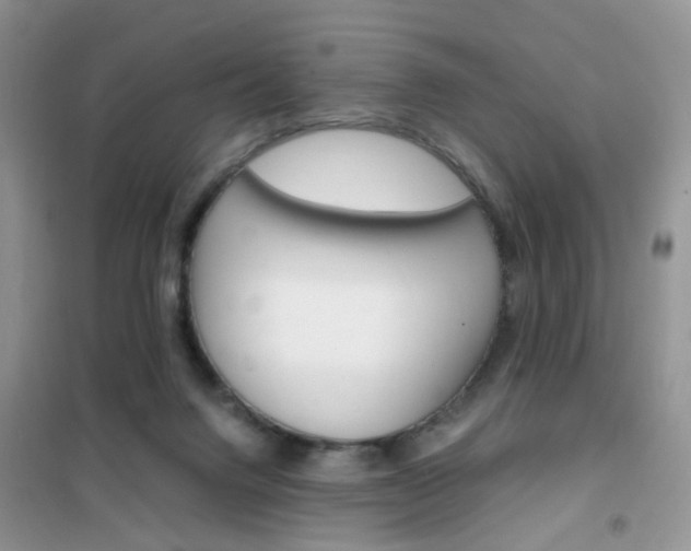 X0000102340072200808010922