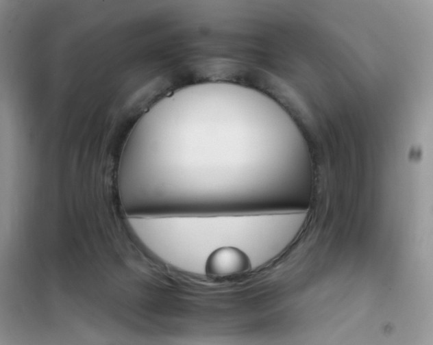 X0000102340073200808010922