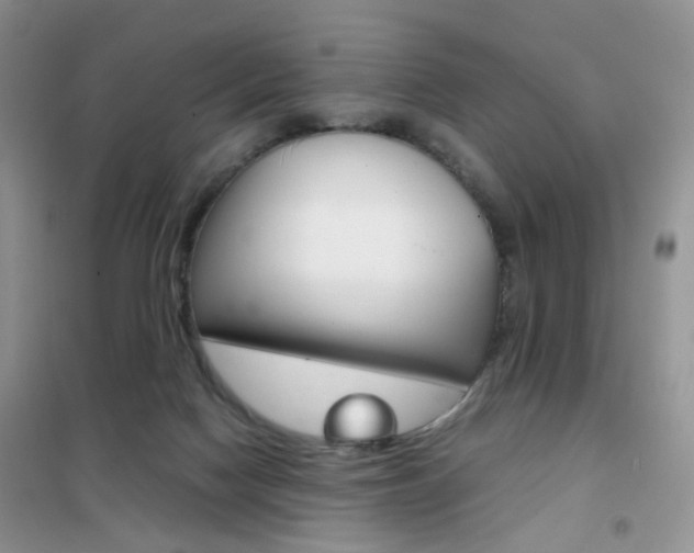 X0000102340074200808010922