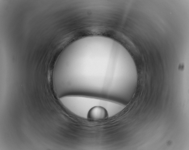 X0000102340075200808010922