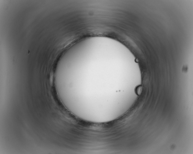 X0000102340076200808010922