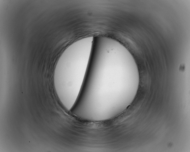 X0000102340077200808010922