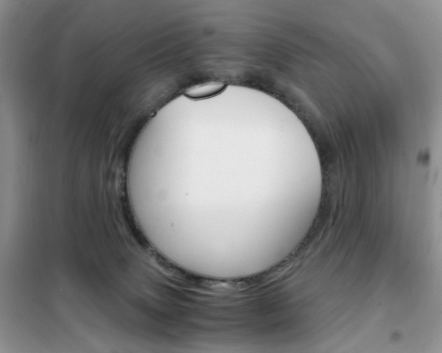 X0000102340083200808010922