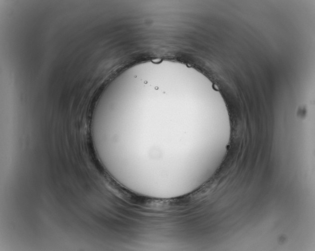 X0000102340084200808010923