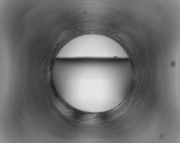 X0000102340086200808010923