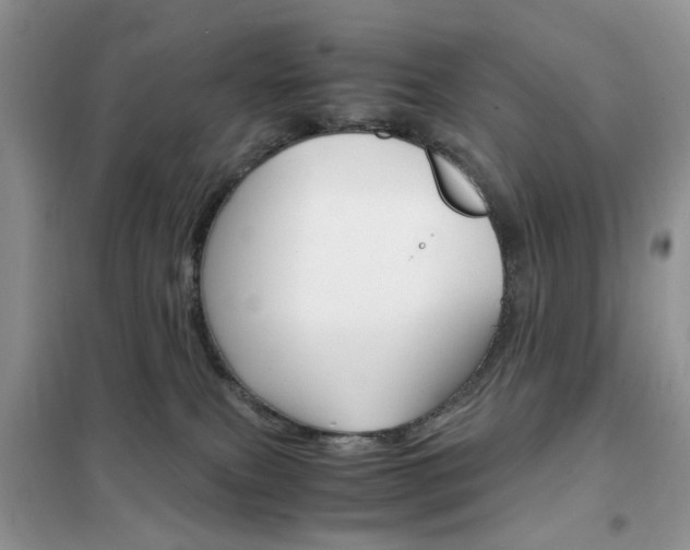 X0000102340087200808010923