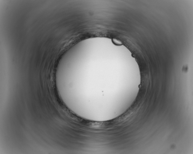 X0000102340088200808010923