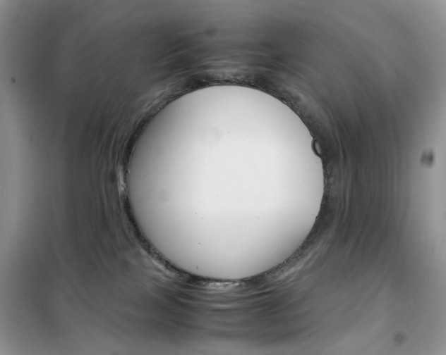 X0000102340089200808010923