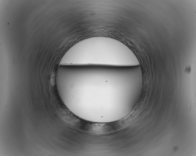 X0000102340090200808010923