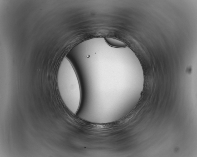 X0000102340091200808010923