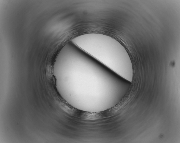 X0000102340093200808010923