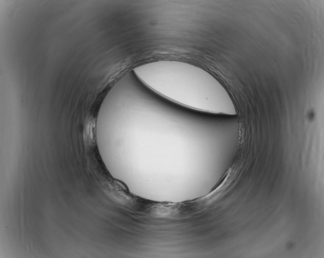 X0000102340094200808010923