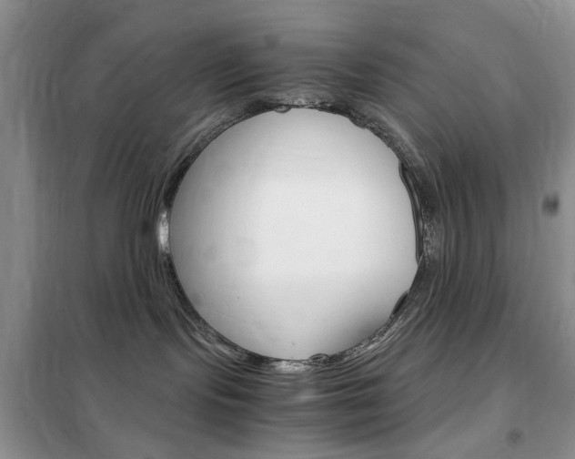 X0000102340095200808010923