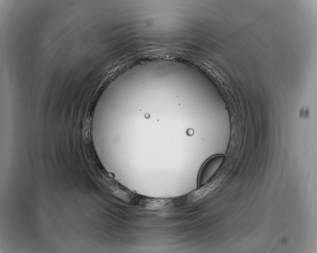 X0000102340096200808010923