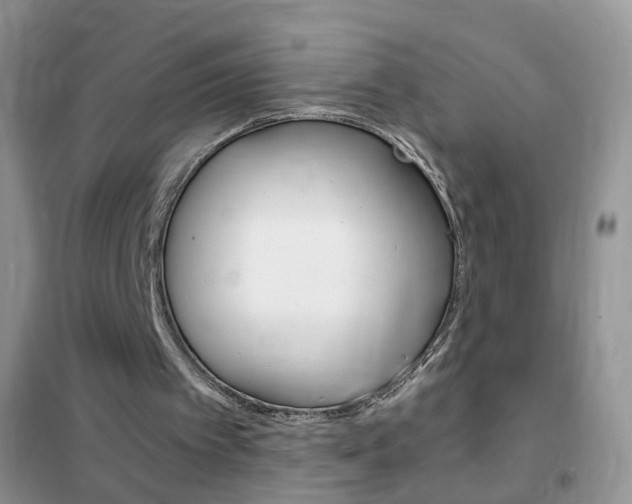 X0000102340097200808010922