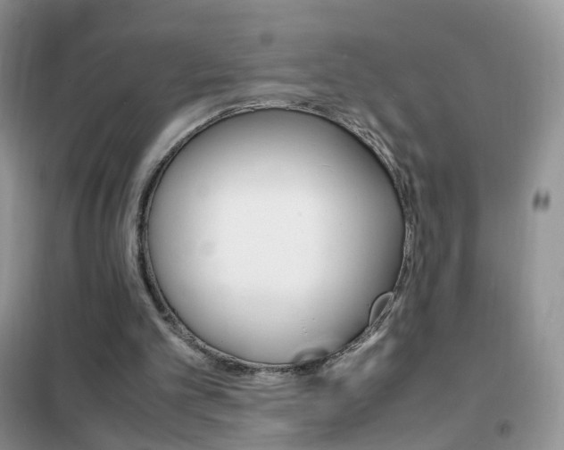 X0000102340101200808010922