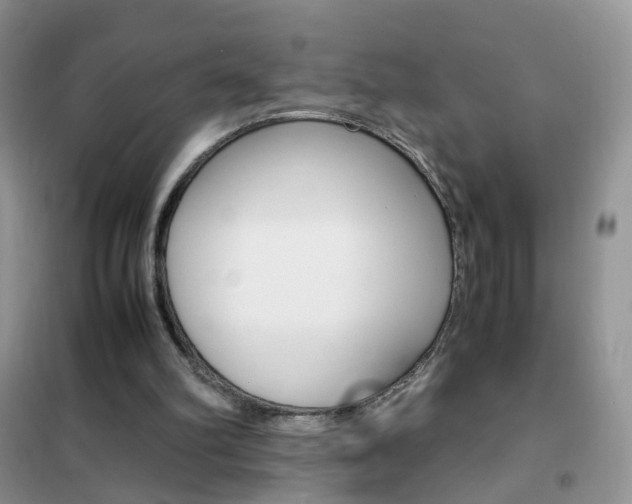 X0000102340102200808010922