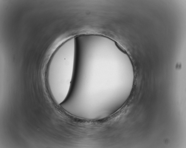 X0000102340103200808010922