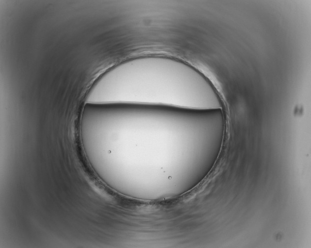 X0000102340105200808010922