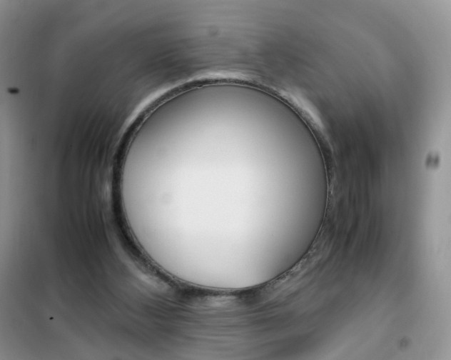 X0000102340108200808010922