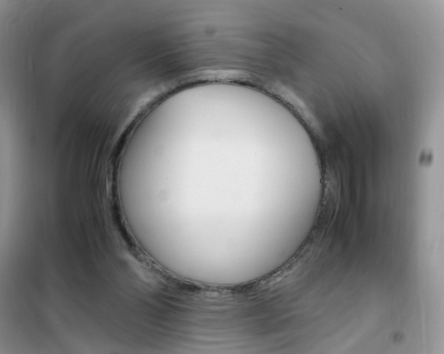 X0000102340110200808010922