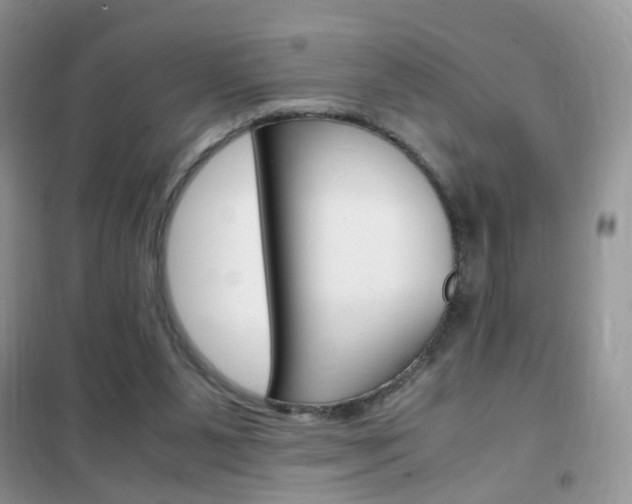 X0000102340111200808010922