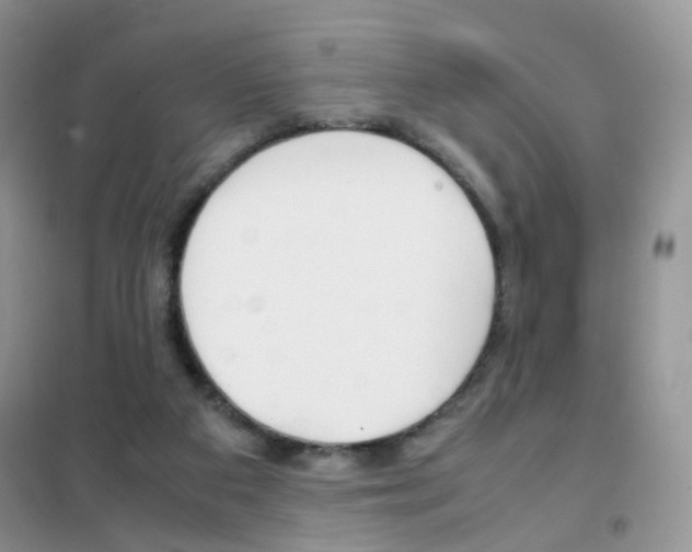 X0000102340113200808010922