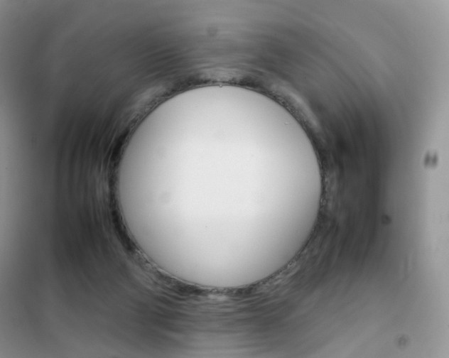 X0000102340114200808010922