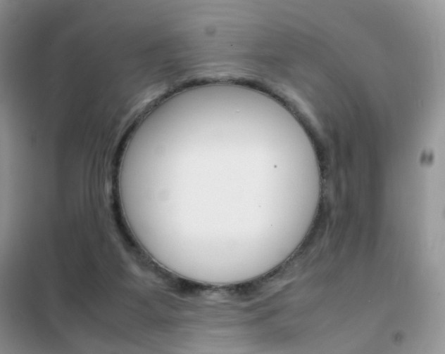 X0000102340115200808010922