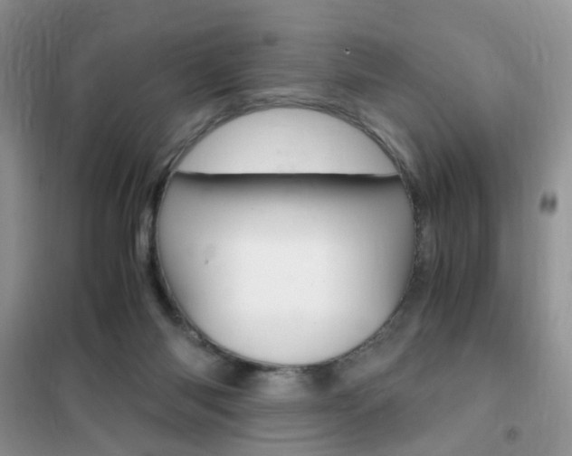 X0000102340118200808010922