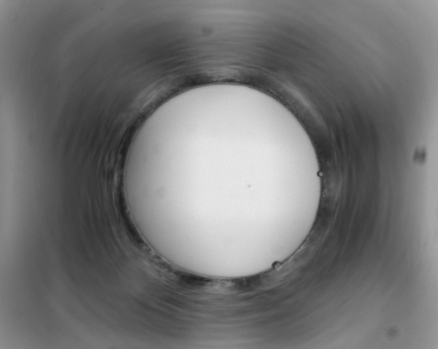 X0000102340124200808010922