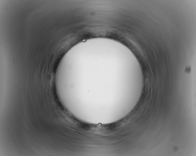 X0000102340125200808010922