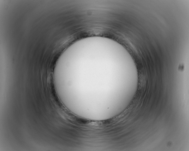 X0000102340126200808010922
