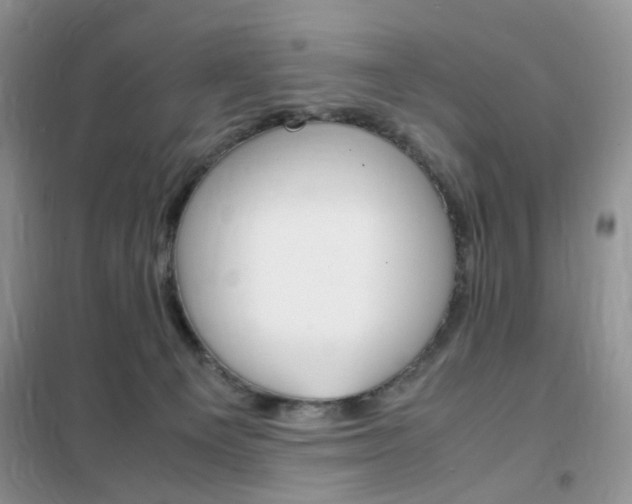 X0000102340129200808010922