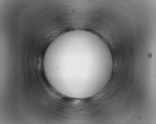X0000102340130200808010922