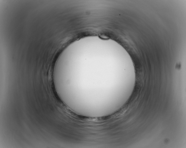 X0000102340131200808010922