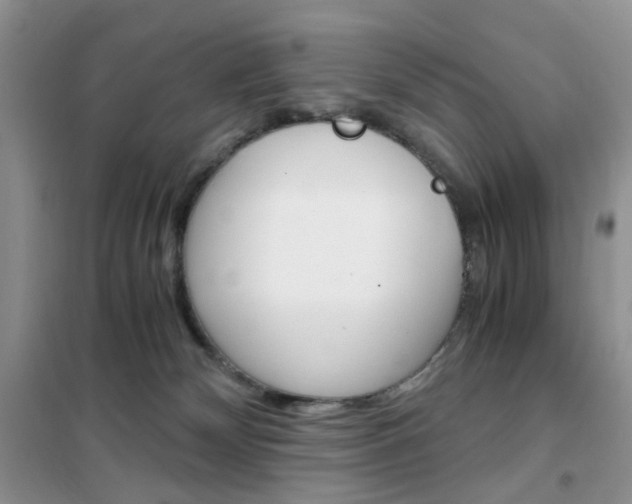 X0000102340132200808010922