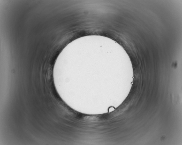 X0000102340133200808010922