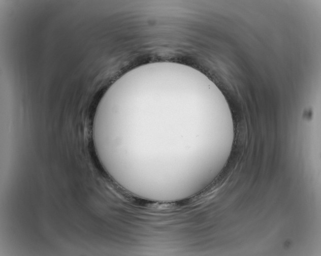 X0000102340135200808010921
