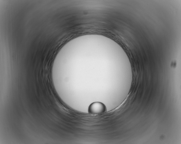 X0000102340136200808010921